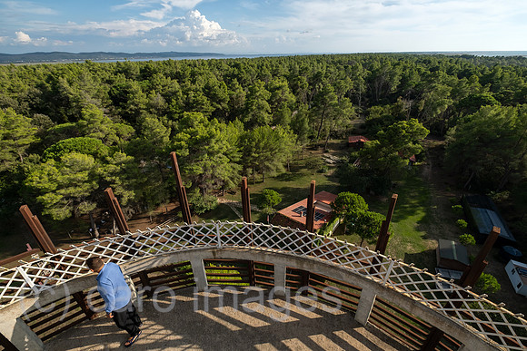 Albanien, Divjaka - Blick vom Aussichtsturm auf Pinienwald im Nationalpark Divjaka-Karavasta an der Adriakueste