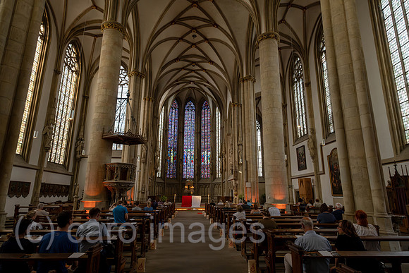 00A220625D808CAROEX.JPG