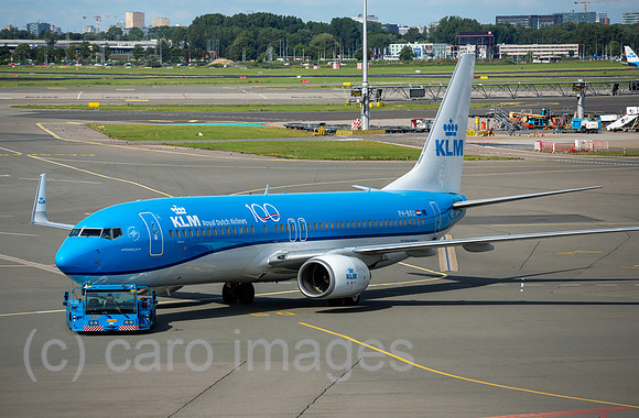 00A190721D021CAROEX.JPG