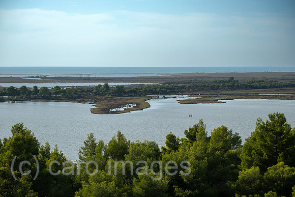 Albanien, Divjaka - Blick auf die Lagune (Salz-und Suesswasser einer Flussmuendung) im Nationalpark Divjaka-Karavasta an der Adriakueste, vorne Pinienwald