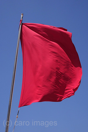 00S190723D042CAROEX.JPG