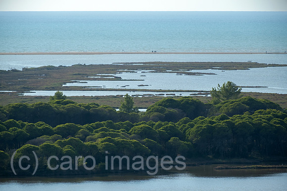 Albanien, Divjaka - Blick auf die Lagune (Salz-und Suesswasser einer Flussmuendung) im Nationalpark Divjaka-Karavasta an der Adriakueste, vorne Pinienwald