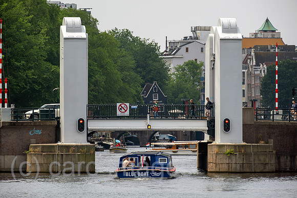 00A230619D736CAROEX.JPG