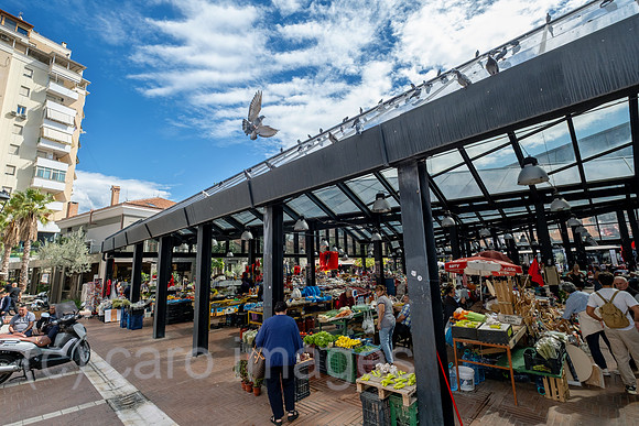 Albanien, Tirana - der Markt Pazari i Ri, mit neuer Markthalle fuer Einheimische und auch Touristenattraktion
