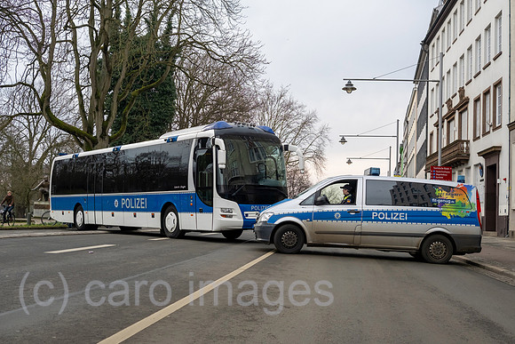 00A250222D047CAROEX.JPG