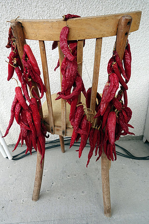 00S190908D005CAROEX.JPG