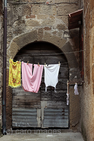 00S180728D003CAROEX.JPG