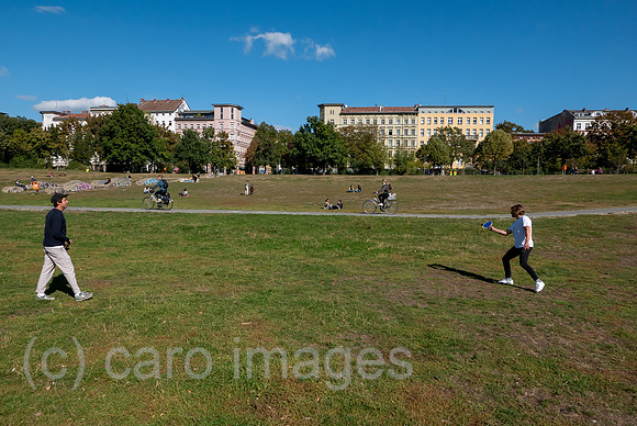 00A180929D015CAROEX.JPG