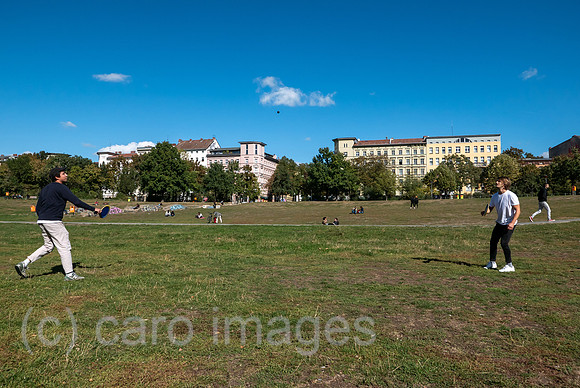 00A180929D010CAROEX.JPG