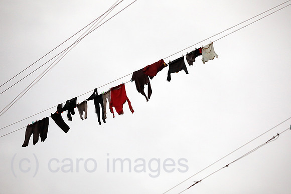 00S200206D013CAROEX.JPG