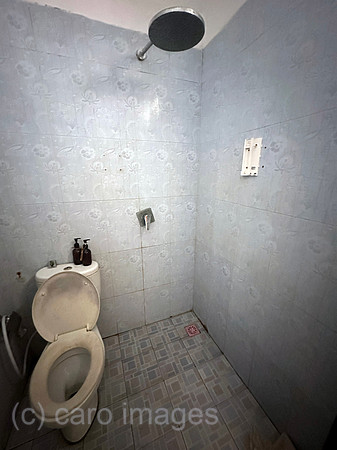00S231113D047CAROEX.JPG