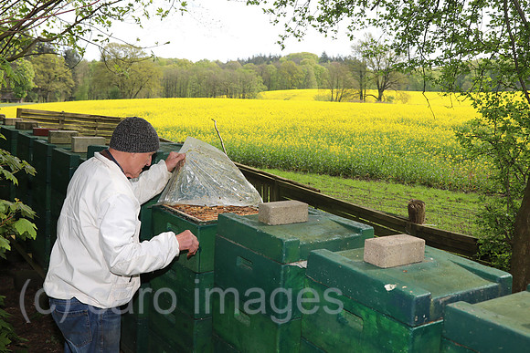 00S240429D103CAROEX.JPG