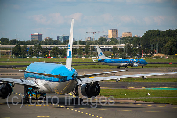 00A190721D038CAROEX.JPG