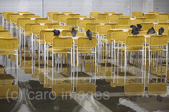 00X061022D081CAROE.JPG