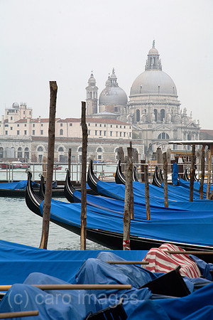 00X061021D009CAROE.JPG