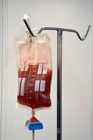 00X061117D049CAROE.JPG