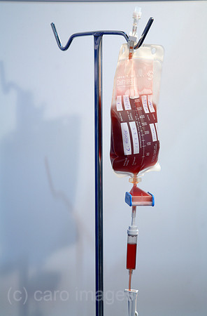 00X061117D052CAROE.JPG