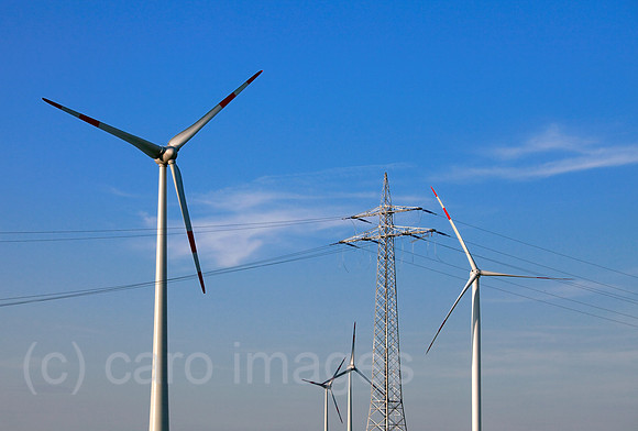 00X090907D115CAROE.JPG
