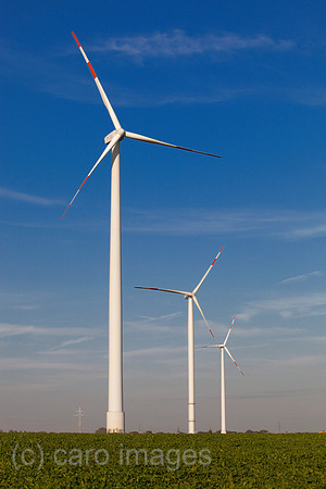 00X090907D109CAROE.JPG