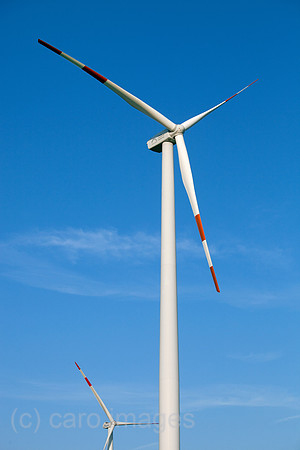 00X090907D112CAROE.JPG