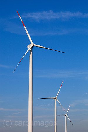 00X090907D111CAROE.JPG