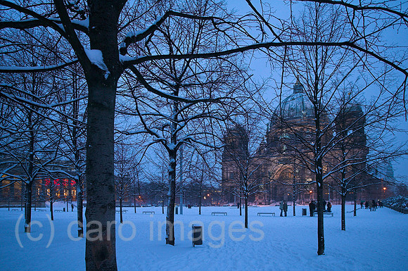 00P051229D002CARO.JPG