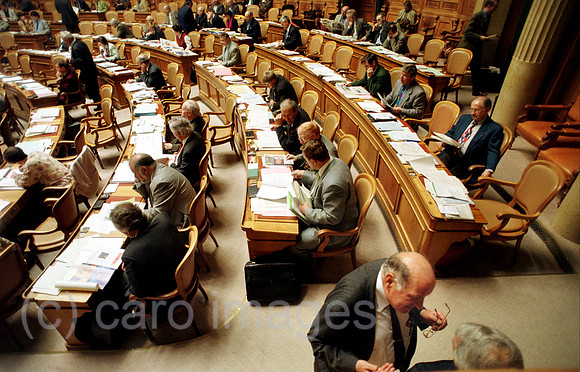 00A47921ACARO.JPG