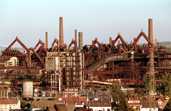 00A48118ACARO.JPG