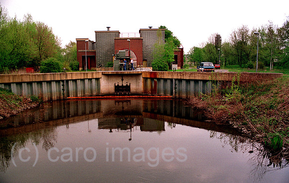 00A49419ACARO.JPG