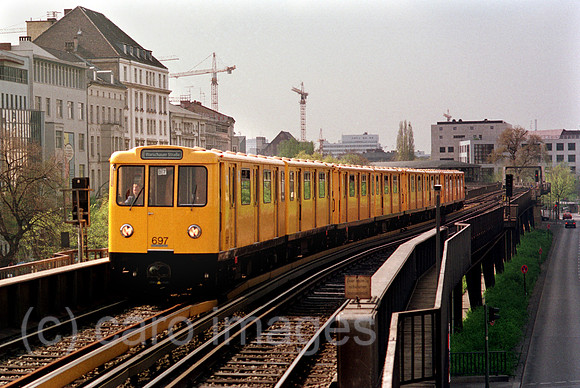 00A49402ACARO.JPG