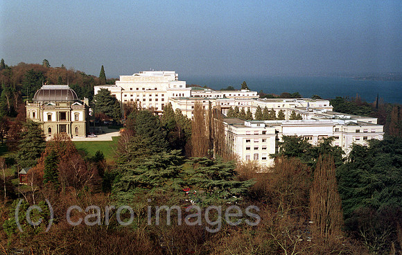 00A48406CARO.JPG