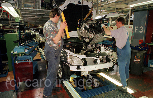 00A45224ACARO.JPG