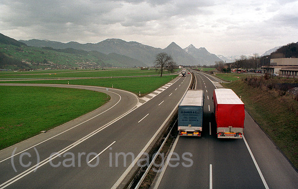 00A48001ACARO.JPG