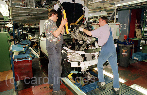 00A45225ACARO.JPG
