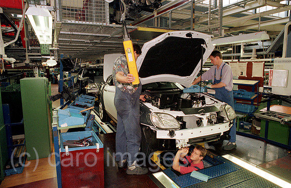 00A45218ACARO.JPG