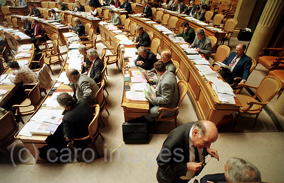00A47923ACARO.JPG
