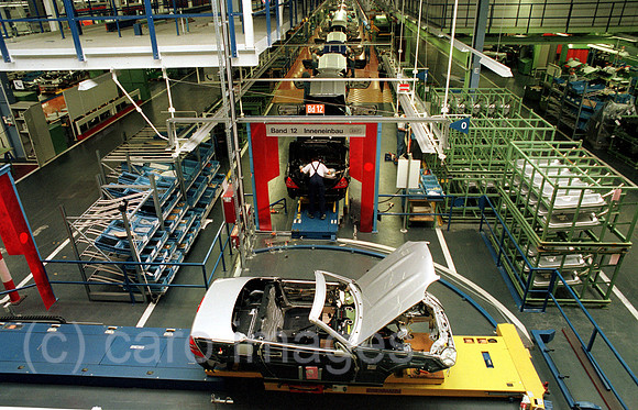 00A45205ACARO.JPG