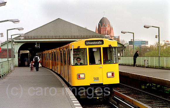 00A49405ACARO.JPG