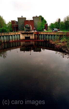 00A49417ACARO.JPG