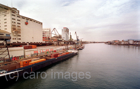00A47213ACARO.JPG