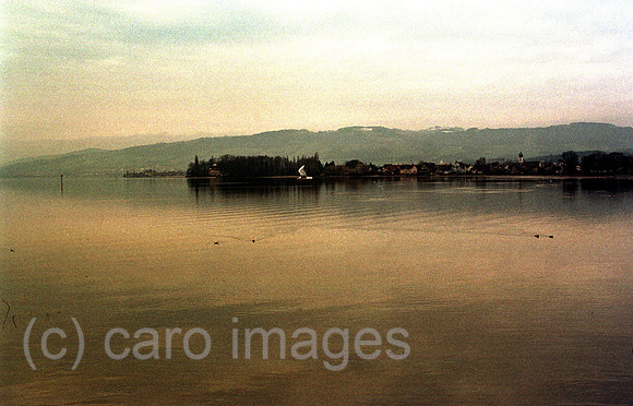 00A48501ACARO.JPG