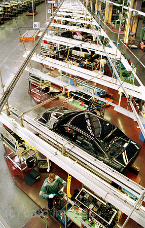 00A45131ACARO.JPG