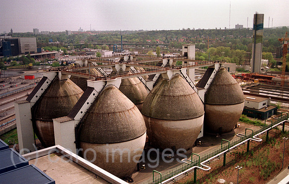 00A49734ACARO.JPG