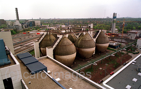 00A49808CARO.JPG