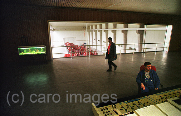 00A49534ACARO.JPG