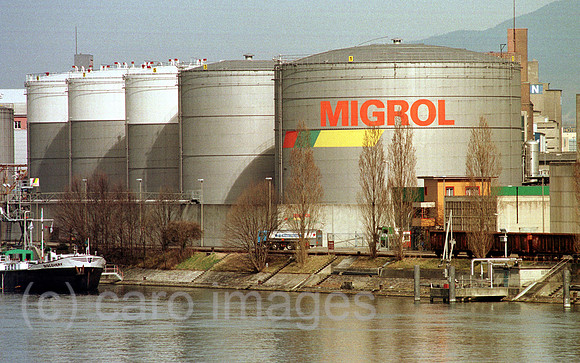 00A47217ACARO.JPG