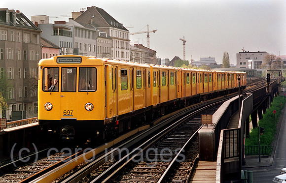 00A49403ACARO.JPG