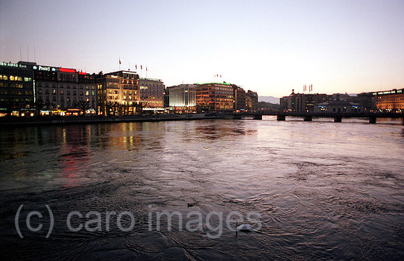 00A49136ACARO.JPG