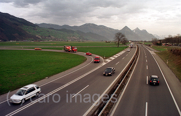 00A48003ACARO.JPG