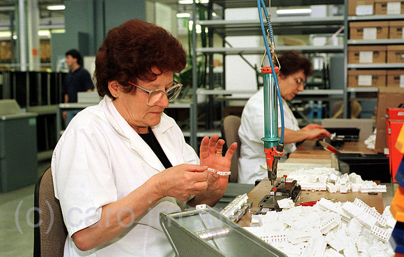 00A46506ACARO.JPG